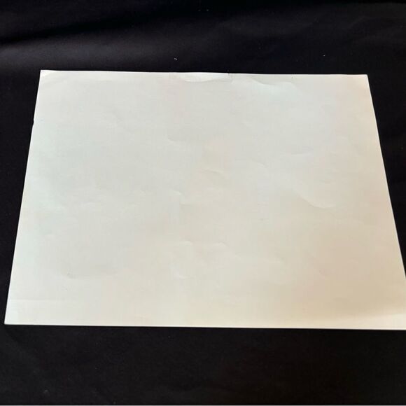 The Alabama State Fair The Amphitheatre 1858 Black & White Print EPC 12 x 9 - Picture 2 of 2